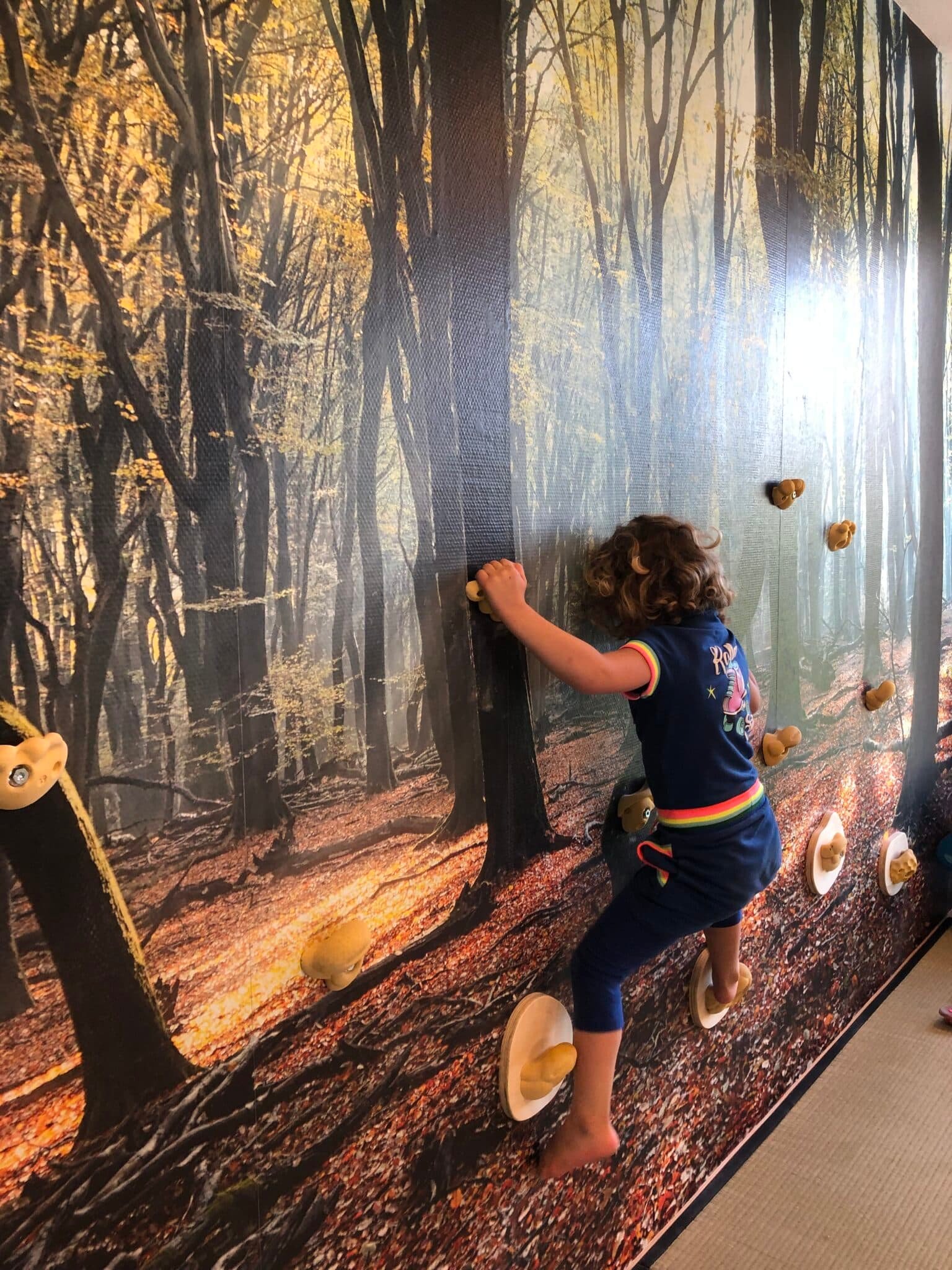 1 de tussenvoorziening klimmen