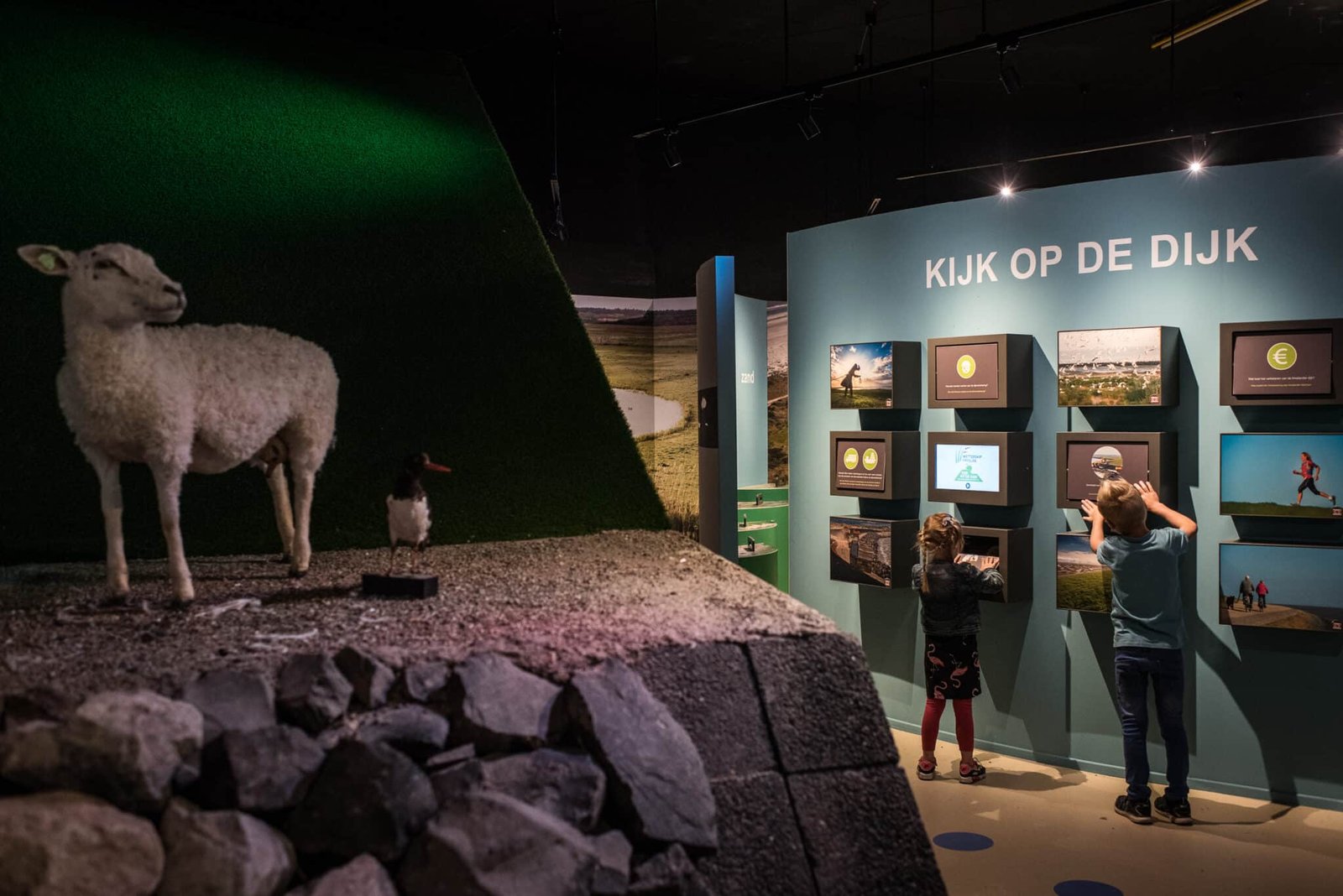 10 Amelandfoto-natuurcentrumameland-27