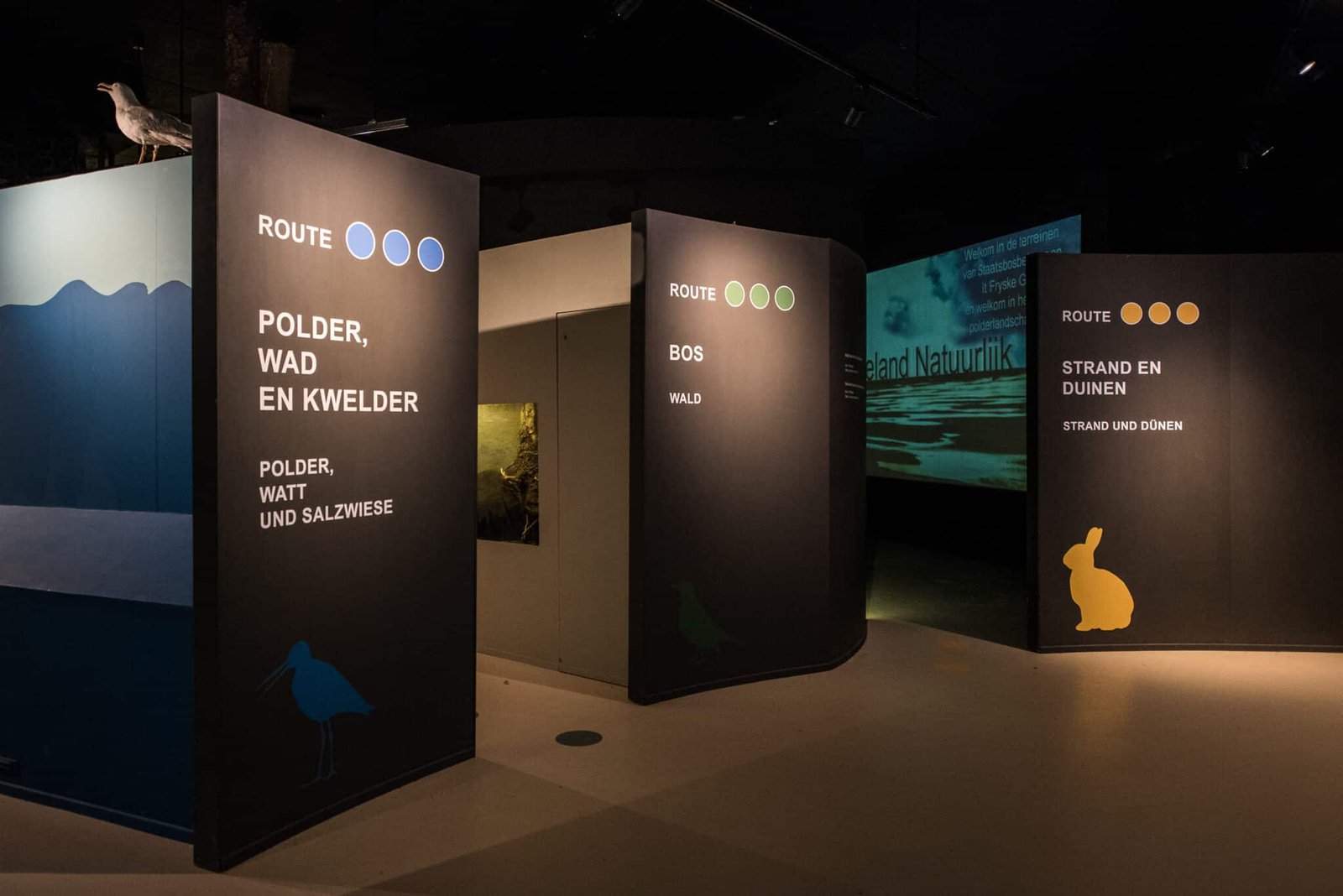 3 Amelandfoto-natuurcentrum-7