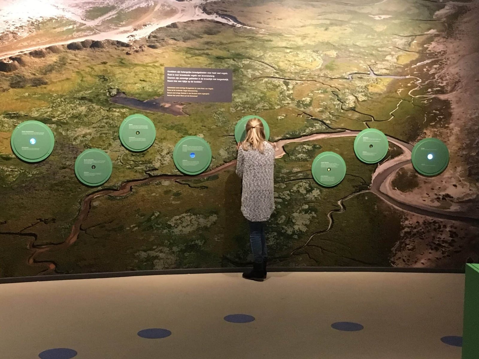 4 2015-10-26 12.25.52