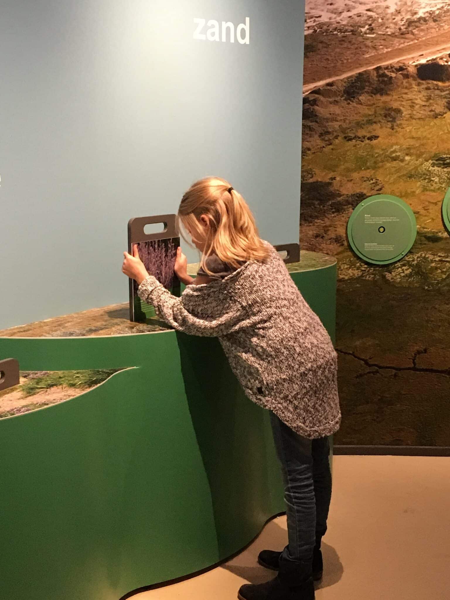 5 2015-10-26 12.26.48