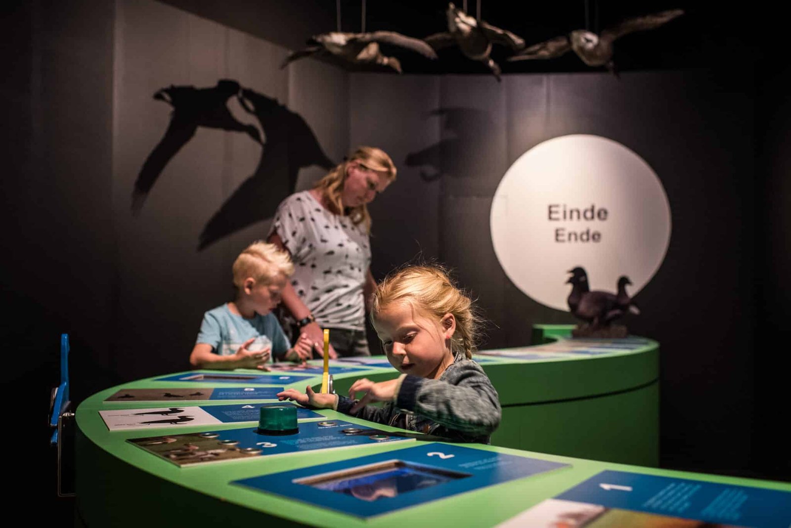 6 Amelandfoto-natuurcentrumameland-9