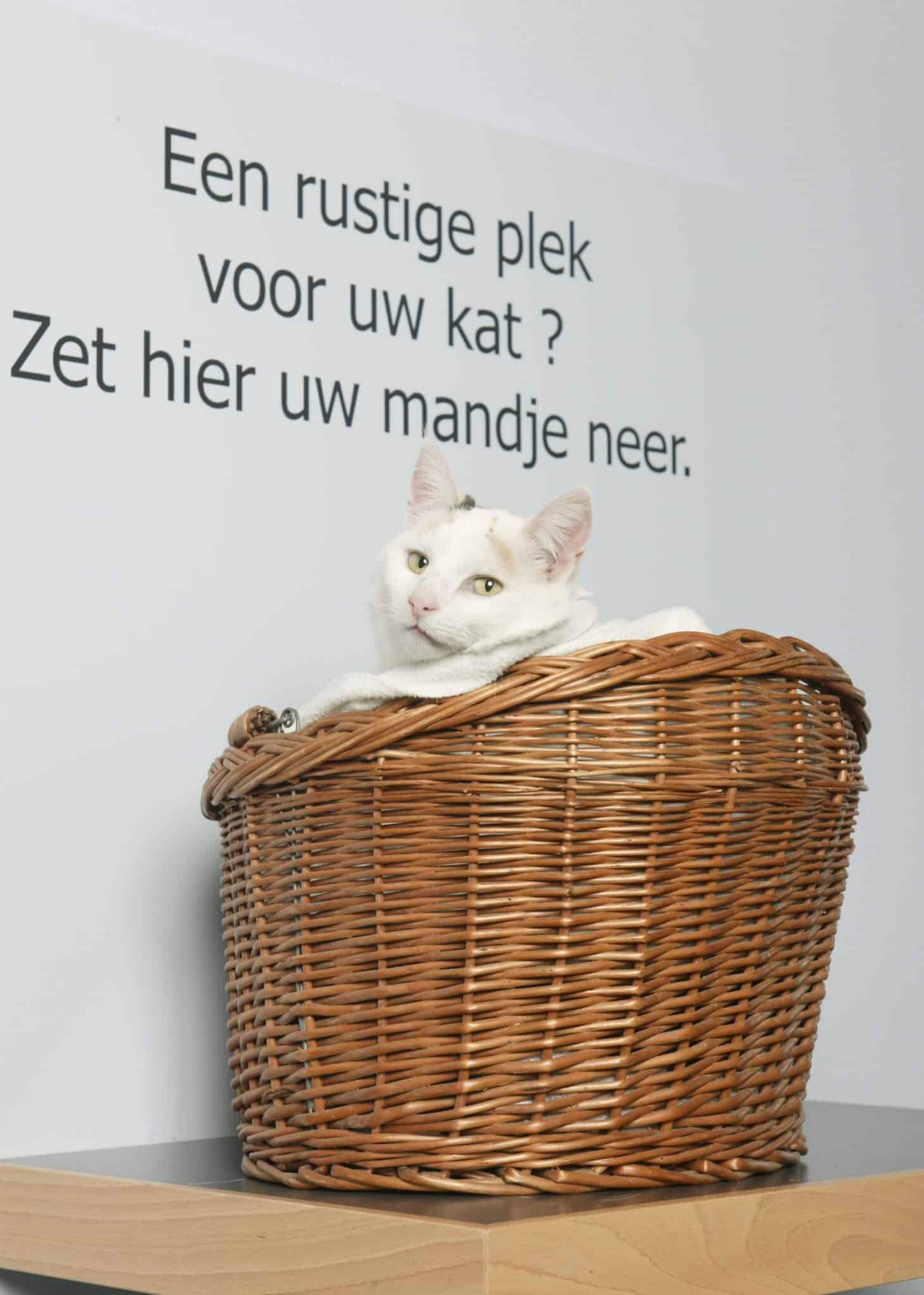 7 kattenmandje