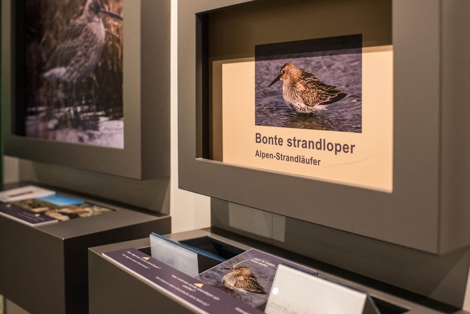 8 Amelandfoto-natuurcentrum-3