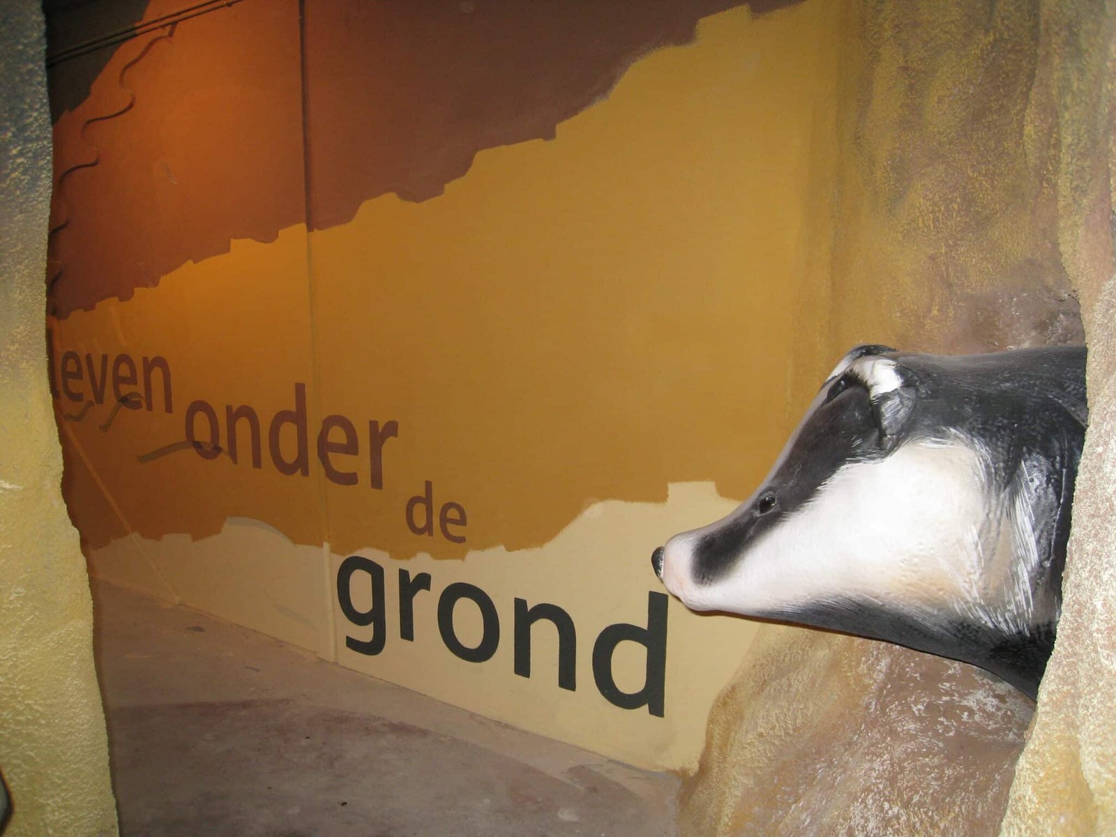 8 IMG_4973 BKP entree tunnel