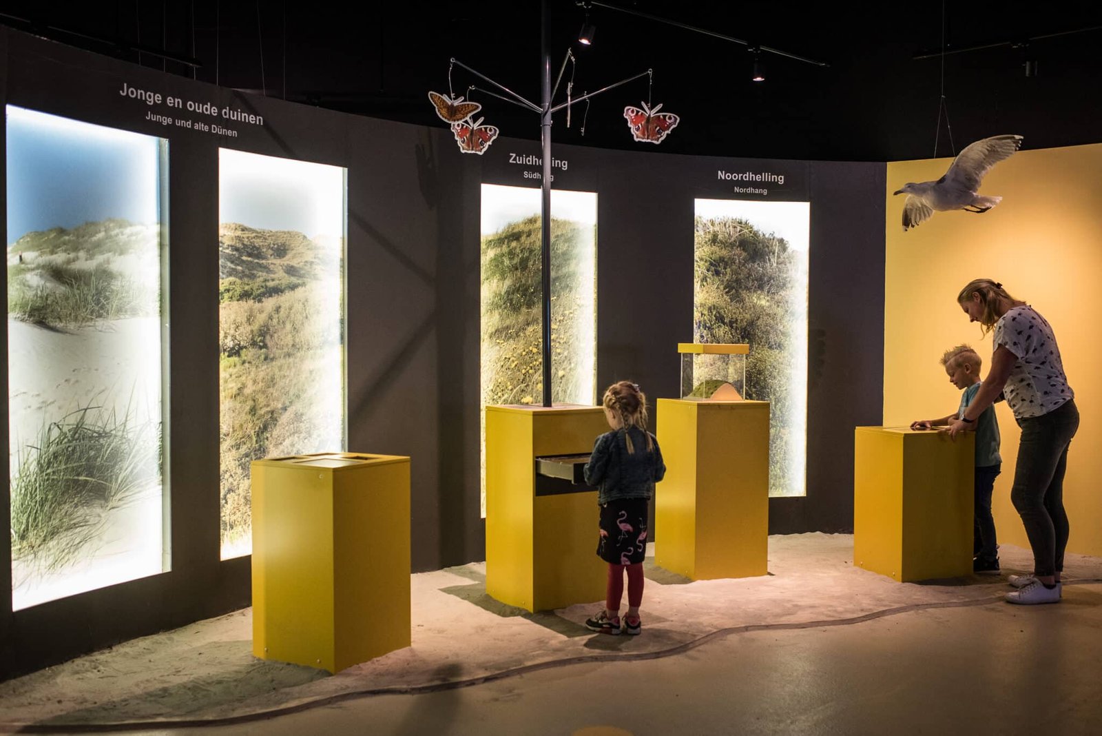 9 Amelandfoto-natuurcentrumameland-6