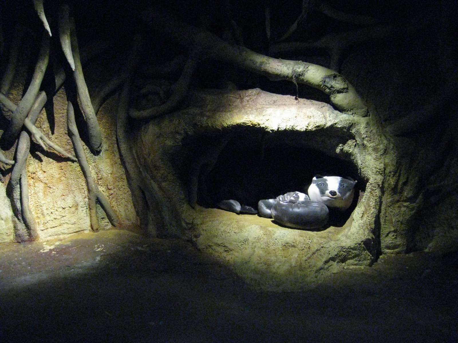 9 IMG_0392 BKP dassen