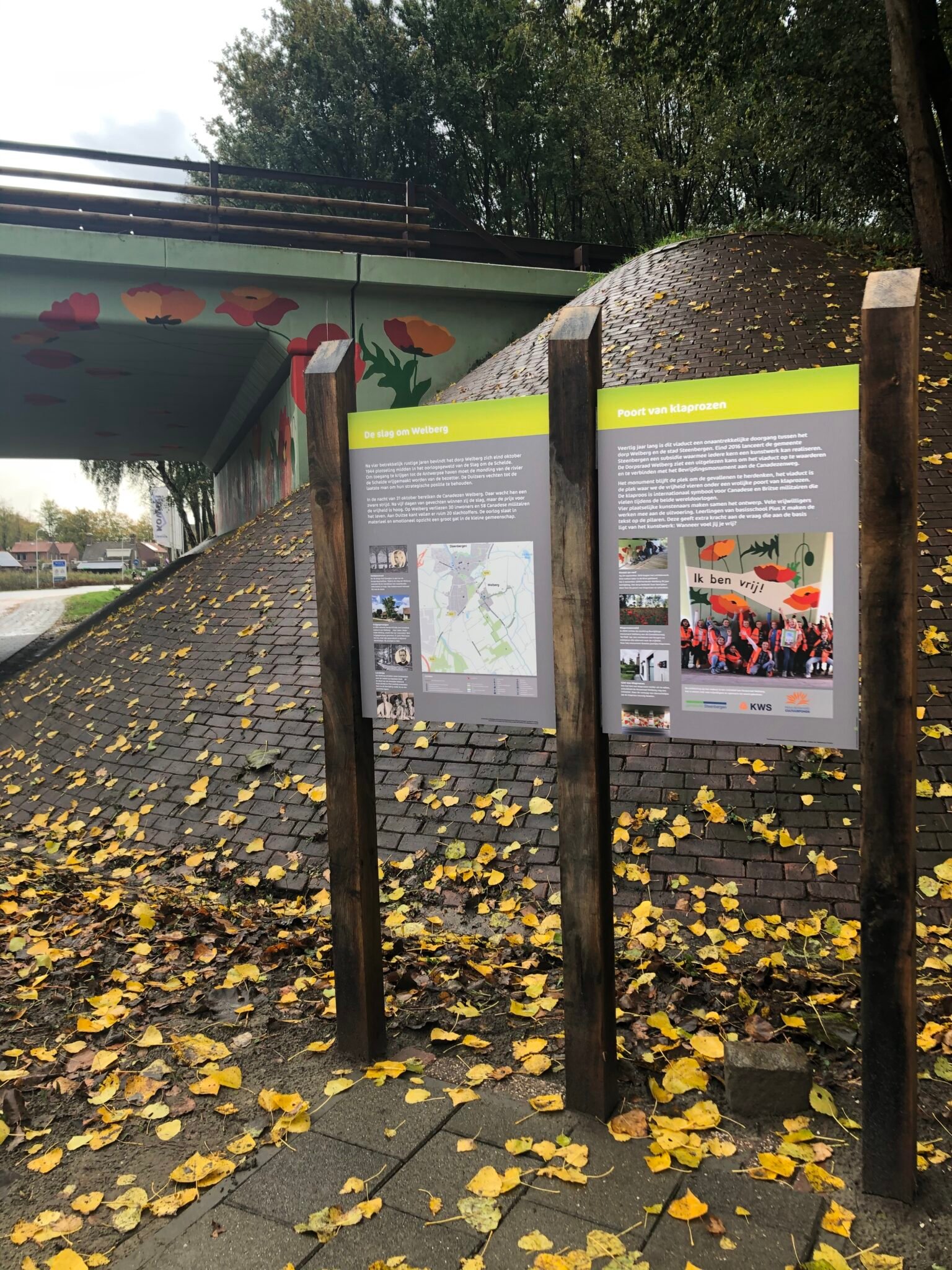 Foto 02-11-2019 10 28 02