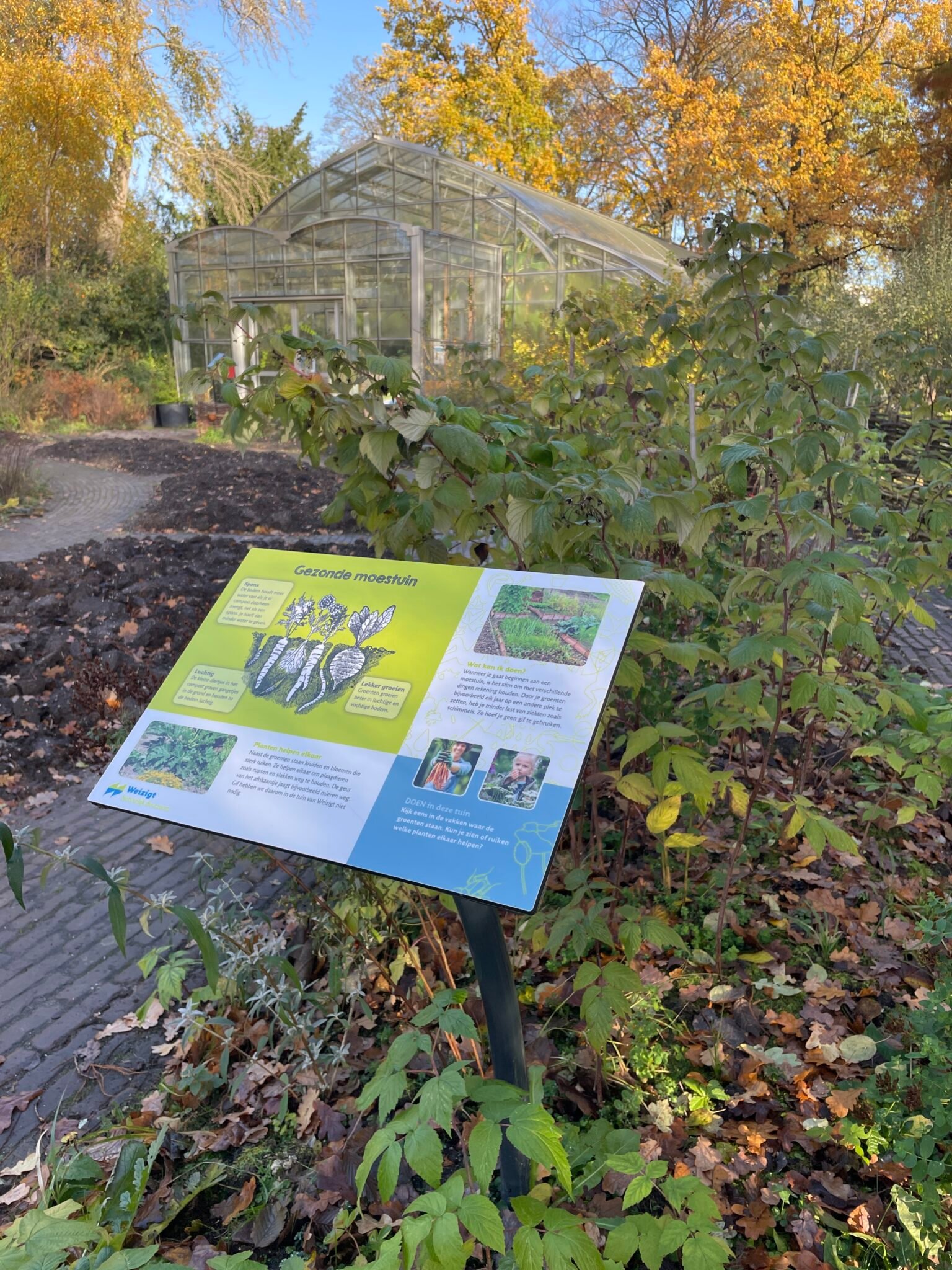 Foto 24-11-2022 13 27 41