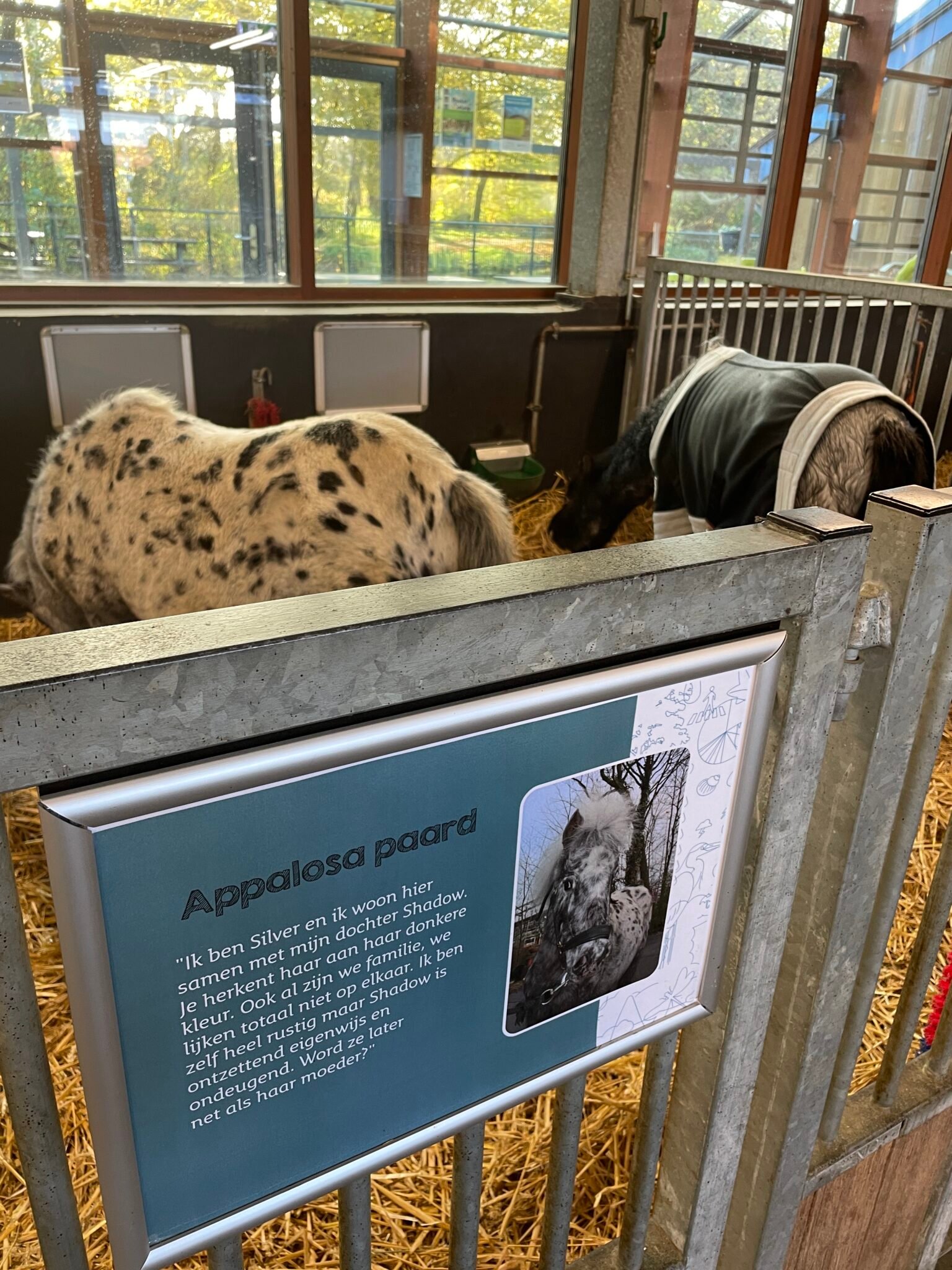 Foto 24-11-2022 13 50 54